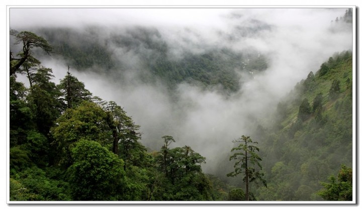 探秘独龙江 (37).JPG 探秘独龙江 (37).JPG