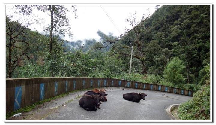 探秘独龙江 (58).JPG 探秘独龙江 (58).JPG