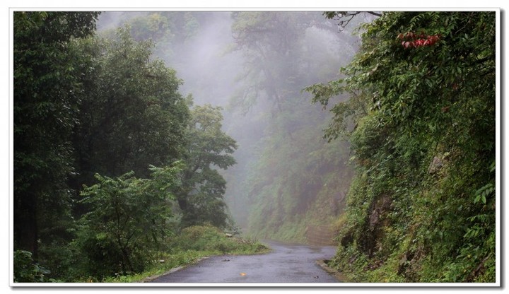 探秘独龙江 (113).JPG 探秘独龙江 (113).JPG