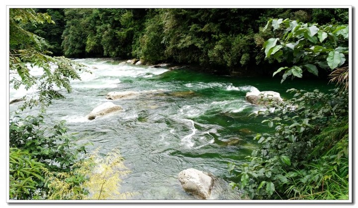 探秘独龙江 (98).jpg 探秘独龙江 (98).jpg