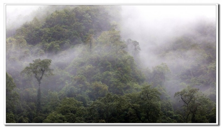 探秘独龙江 (108).JPG 探秘独龙江 (108).JPG