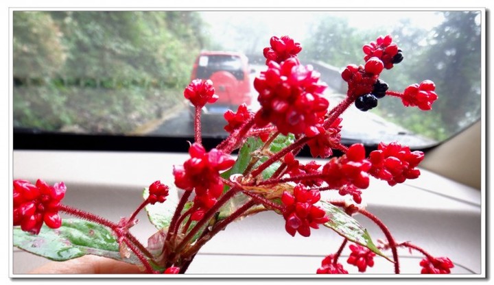 探秘独龙江 (122).JPG 探秘独龙江 (122).JPG