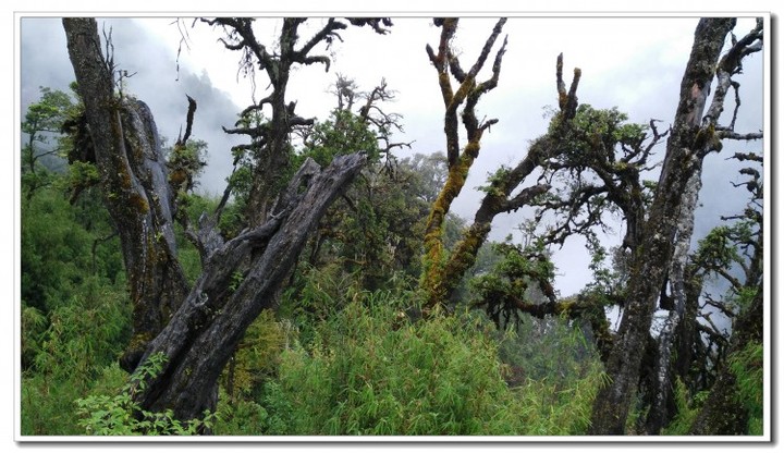 探秘独龙江 (19).jpg 探秘独龙江 (19).jpg