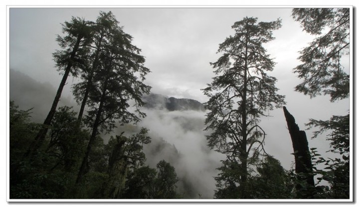 探秘独龙江 (24).JPG 探秘独龙江 (24).JPG