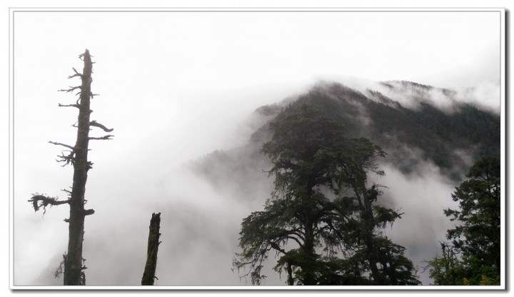 探秘独龙江 (30).jpg 探秘独龙江 (30).jpg