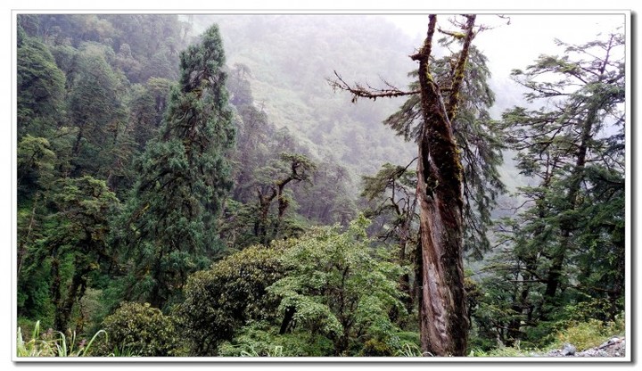 探秘独龙江 (33).jpg 探秘独龙江 (33).jpg