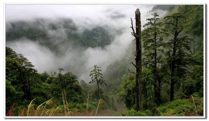 探秘独龙江 (34).JPG 探秘独龙江 (34).JPG