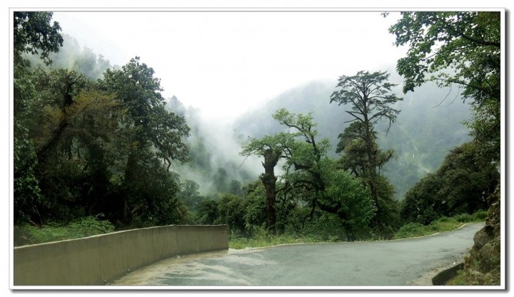 探秘独龙江 (36).JPG 探秘独龙江 (36).JPG