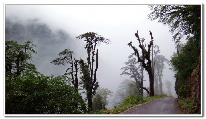 探秘独龙江 (53).JPG 探秘独龙江 (53).JPG