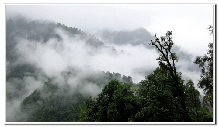 探秘独龙江 (116).JPG 探秘独龙江 (116).JPG