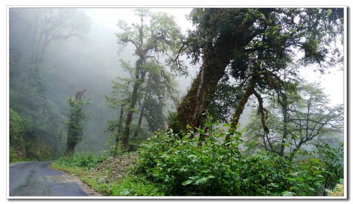 探秘独龙江 (117).jpg 探秘独龙江 (117).jpg