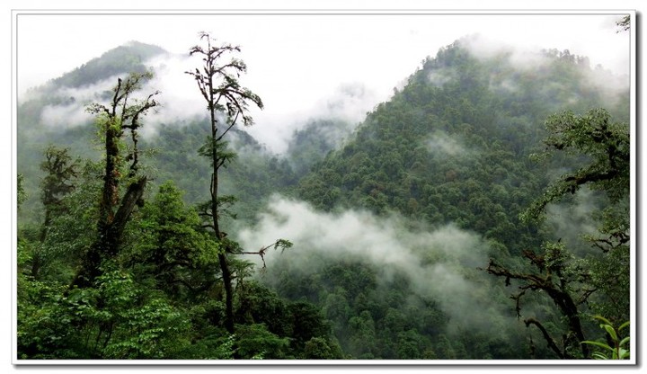 探秘独龙江 (118).JPG 探秘独龙江 (118).JPG