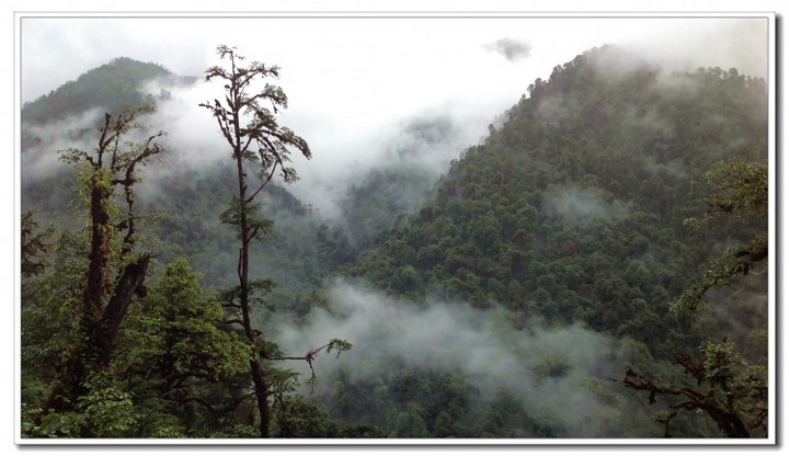 探秘独龙江 (120).JPG 探秘独龙江 (120).JPG