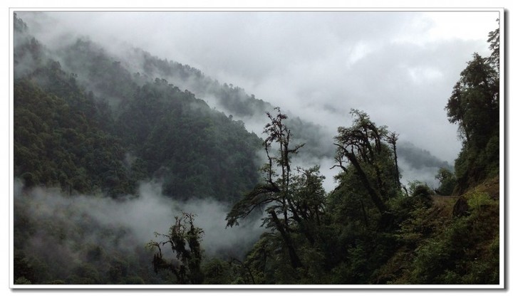 探秘独龙江 (121).JPG 探秘独龙江 (121).JPG