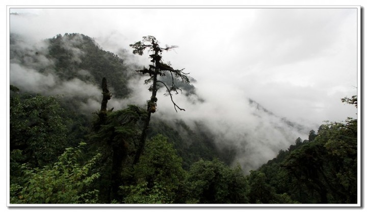 探秘独龙江 (127).JPG 探秘独龙江 (127).JPG