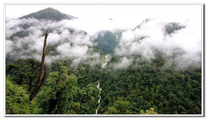 探秘独龙江 (128).JPG 探秘独龙江 (128).JPG