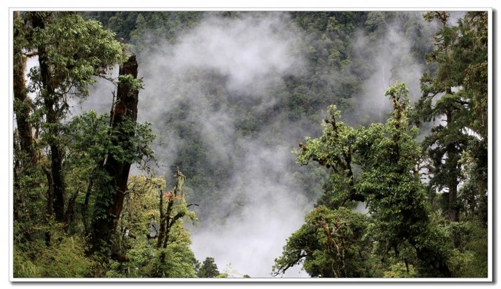 探秘独龙江 (132).JPG 探秘独龙江 (132).JPG