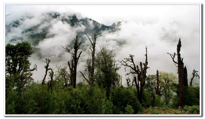 探秘独龙江 (133).JPG 探秘独龙江 (133).JPG