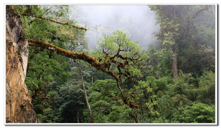 探秘独龙江 (137).JPG 探秘独龙江 (137).JPG