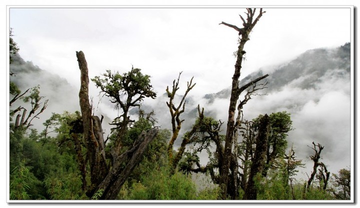 探秘独龙江 (139).JPG 探秘独龙江 (139).JPG