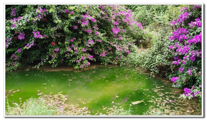 1怒江的水与桥 (10).jpg 1怒江的水与桥 (10).jpg