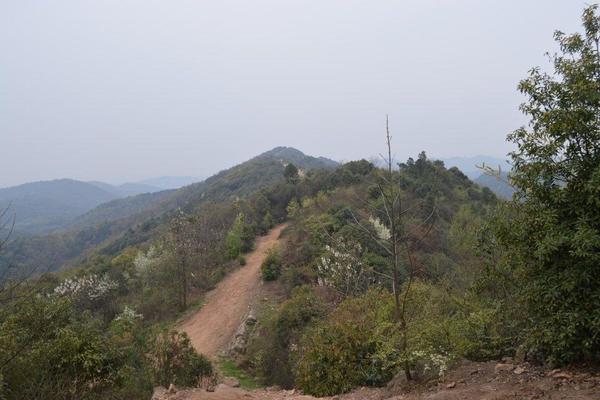 岳麓山穿桃花岭到云溪谷