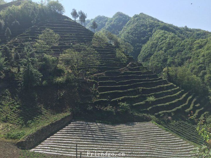 神农架梯田.jpg
