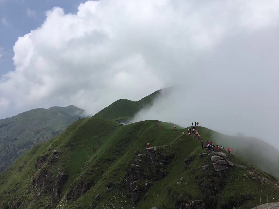 E051ED93-FBF0-4545-9725-054FBCF8C7B6