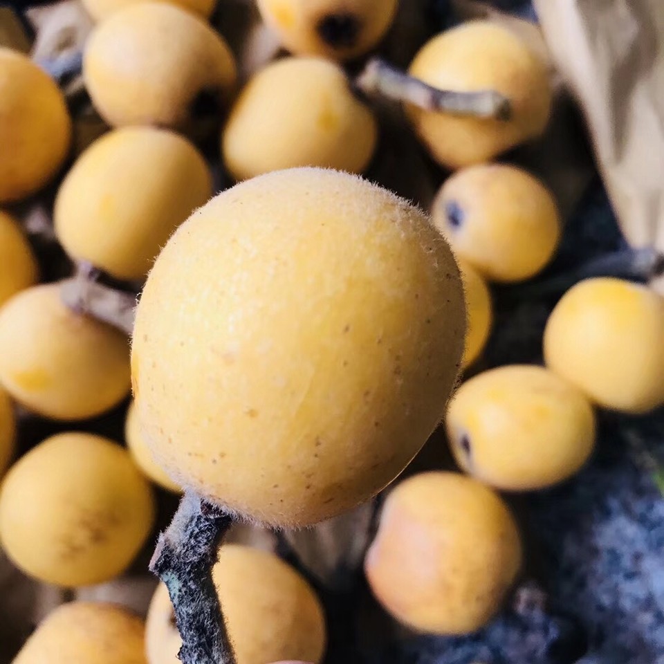 20D68010-443B-4965-9B0C-3A9BC5D89090