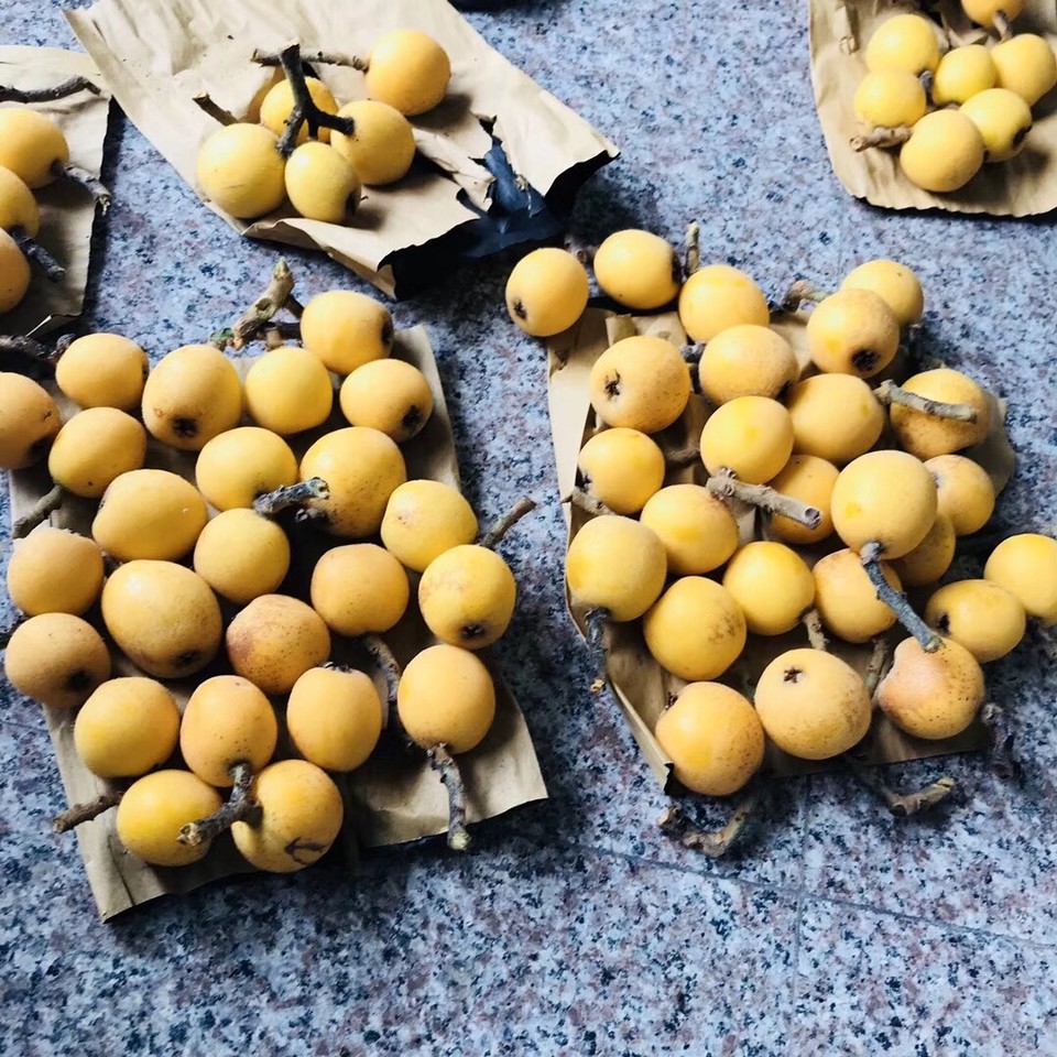 1512D398-1699-4ABE-9EE6-637693A4480D