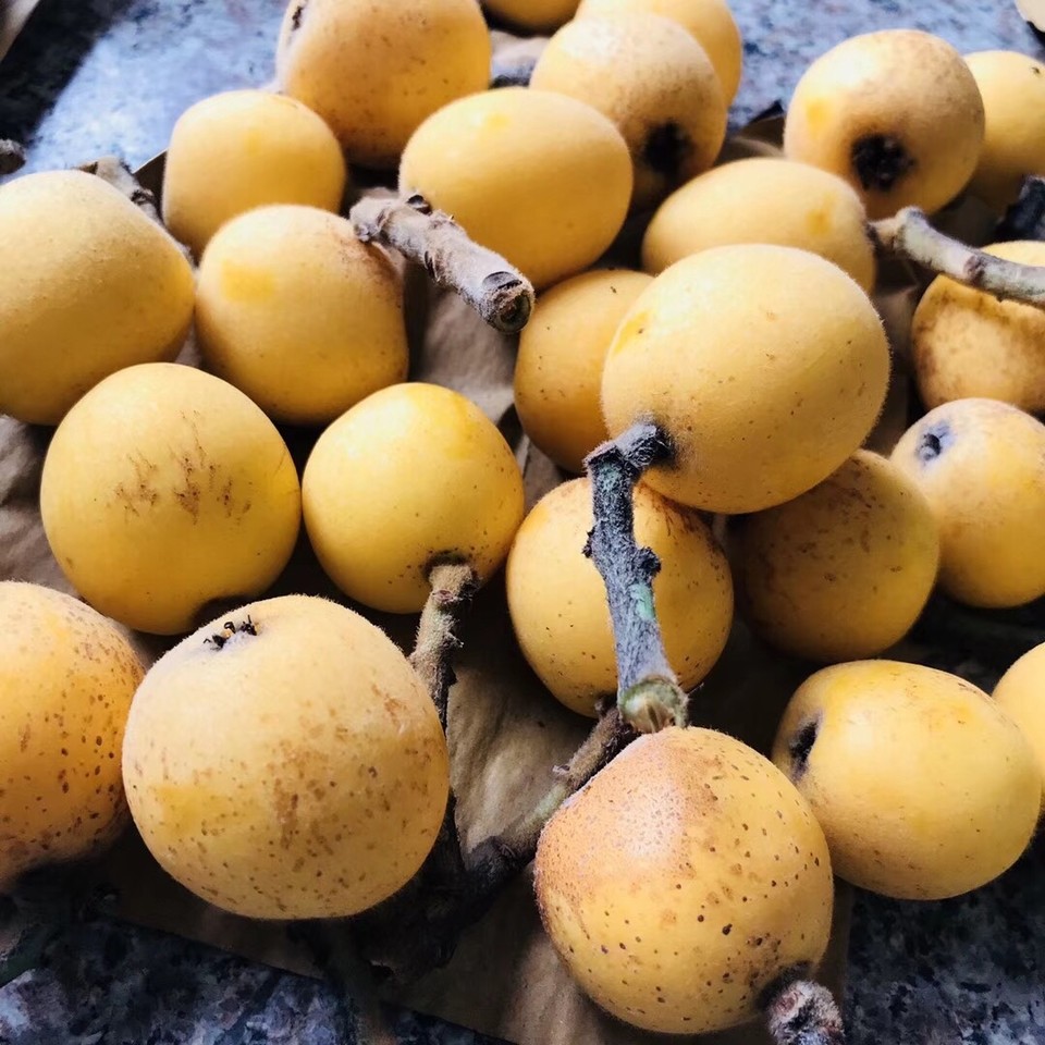 76B5C308-C3D3-42F0-9365-26DBA0997DCA