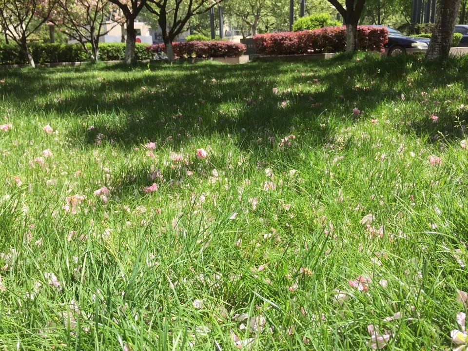 8787B14A-C315-4E96-AD14-D7D4CC3B50E4