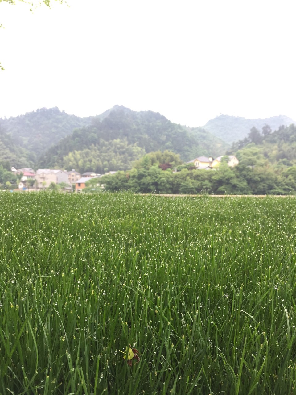 3119173F-4D58-4D39-8915-D371AD5D8B0A