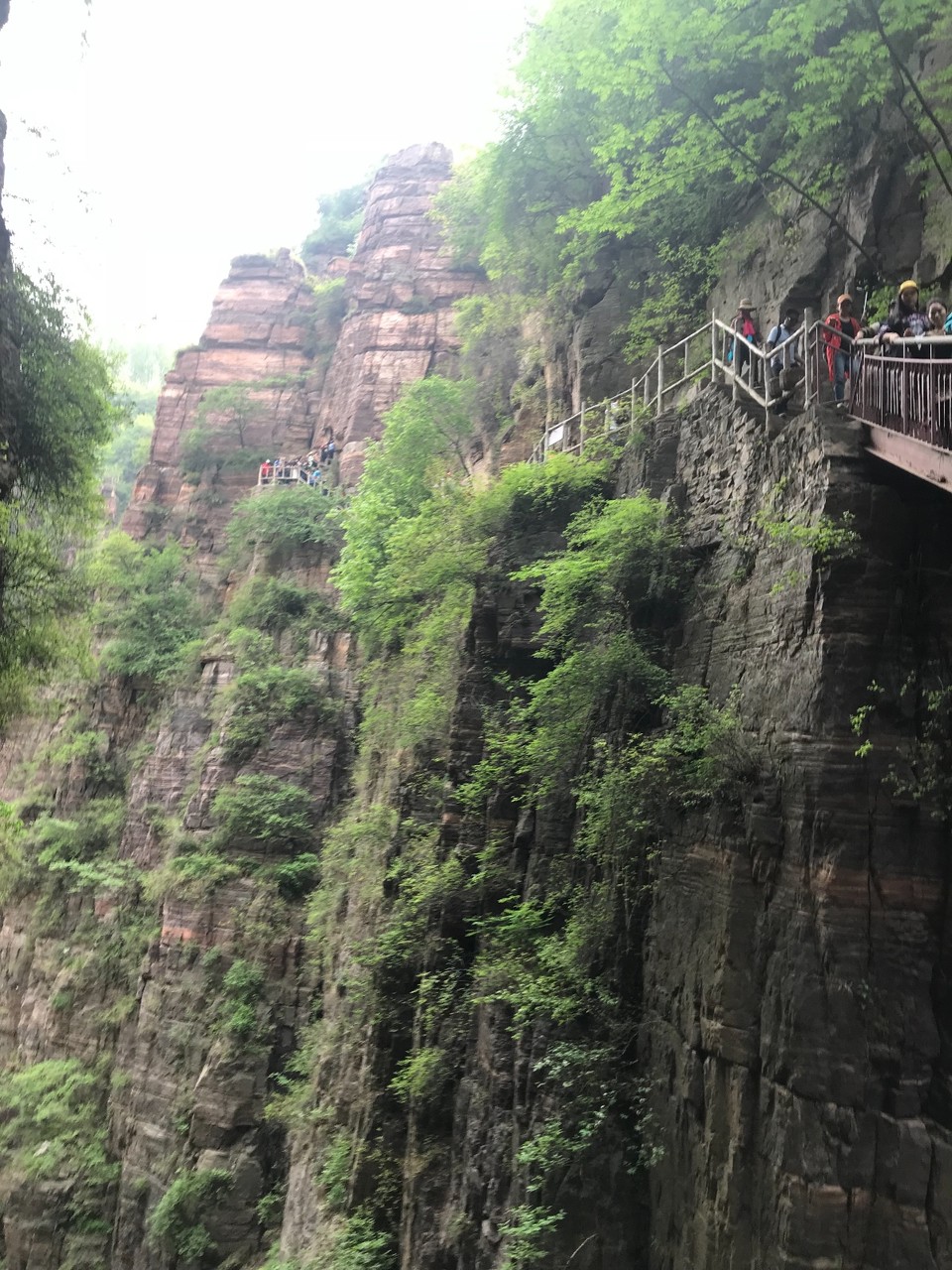 65589C88-A2BF-4FA9-9BA2-2EA90FB12E8D