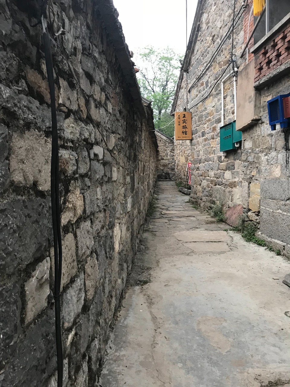 DE5A646F-612D-492C-B72D-D66D18F14504