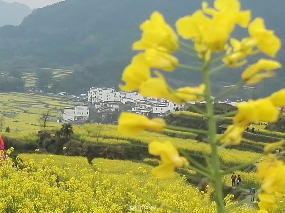 mmexport1522225418863