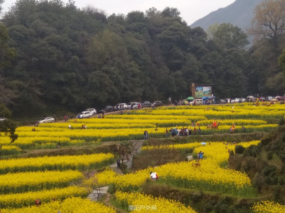 mmexport1522225469237