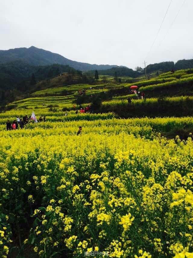 mmexport1522225463291