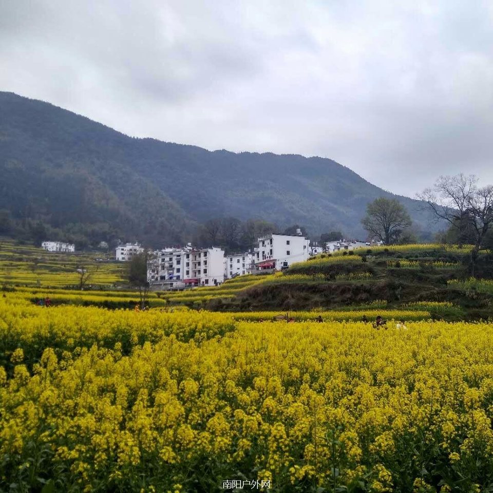 mmexport1522225477126