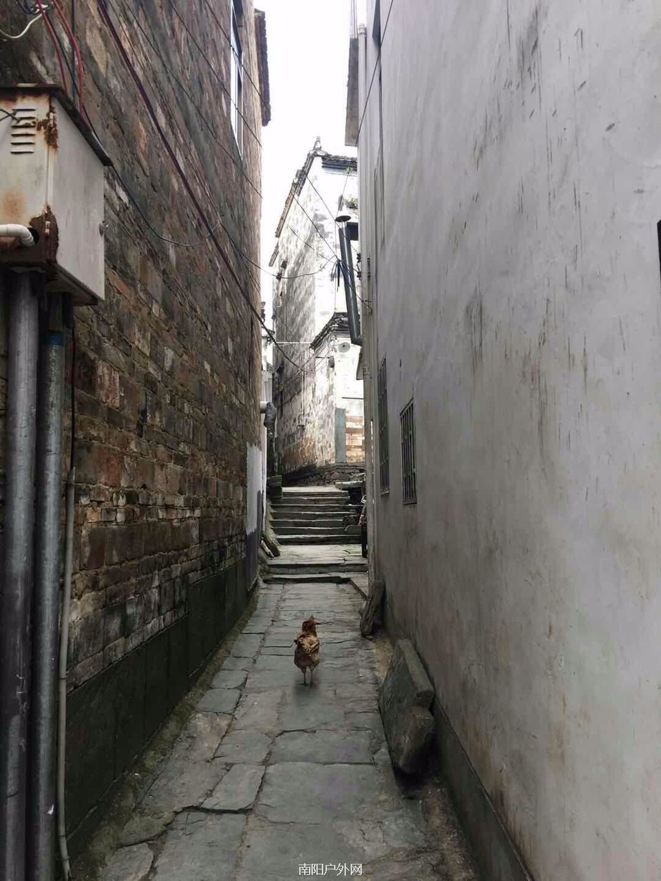 mmexport1522225235622