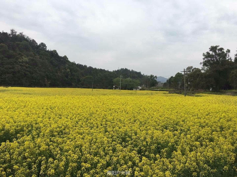 mmexport1522225216182