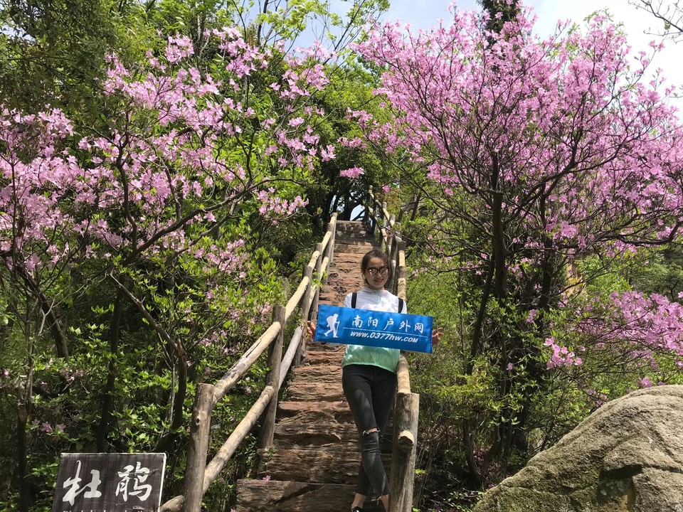 mmexport1524735843506