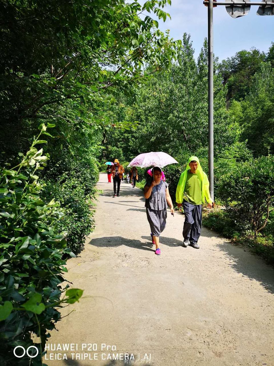 DQxSjz7dyhPWQbUP_41d0doSHj4IkppvALP_5uZcUbcbJPSlZje5QGcrhbnOVDXq