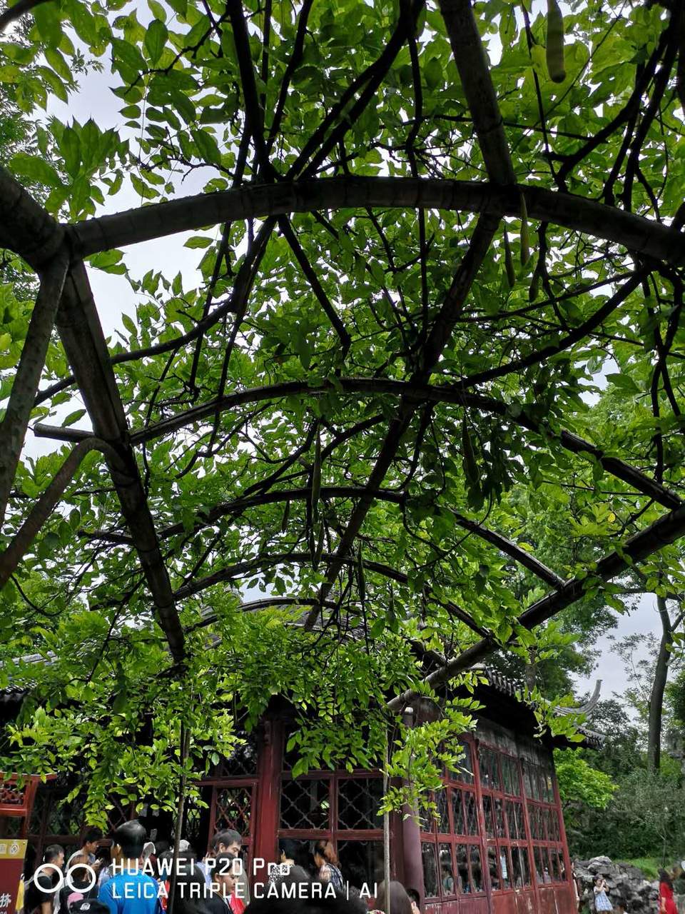 UfPIRGyTFA0KuCjDyhcE4_LT5Ew2RBn8JODsYHmeo3drd4D6xpQjcwP9ntlJ5Usf