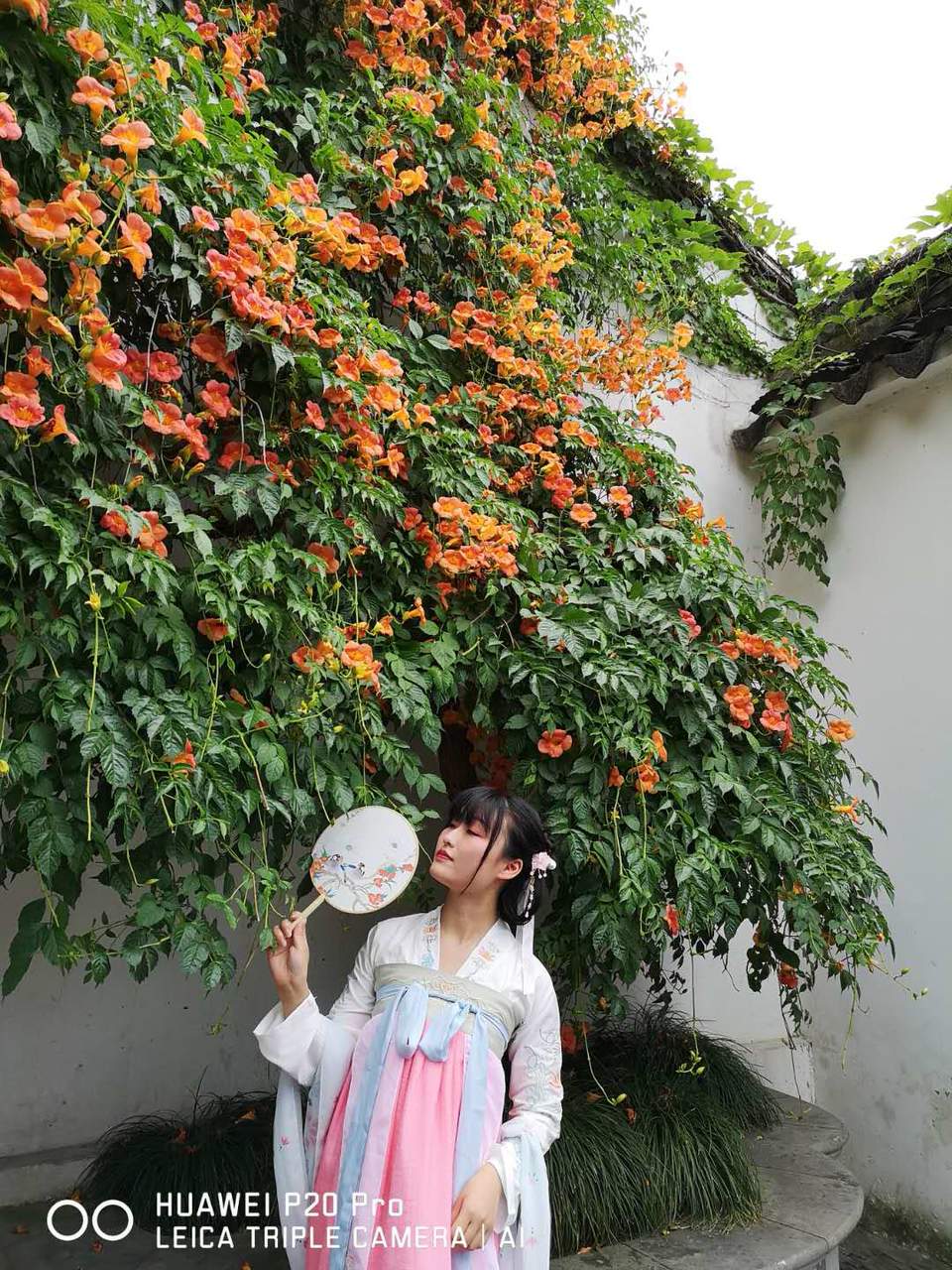 Nfff0bTml3Kcdef4bu_Wp_J4FMc7SKwuEpiHBWxPRrk67aB_Fo5Dv7zx_D4Jo0gE