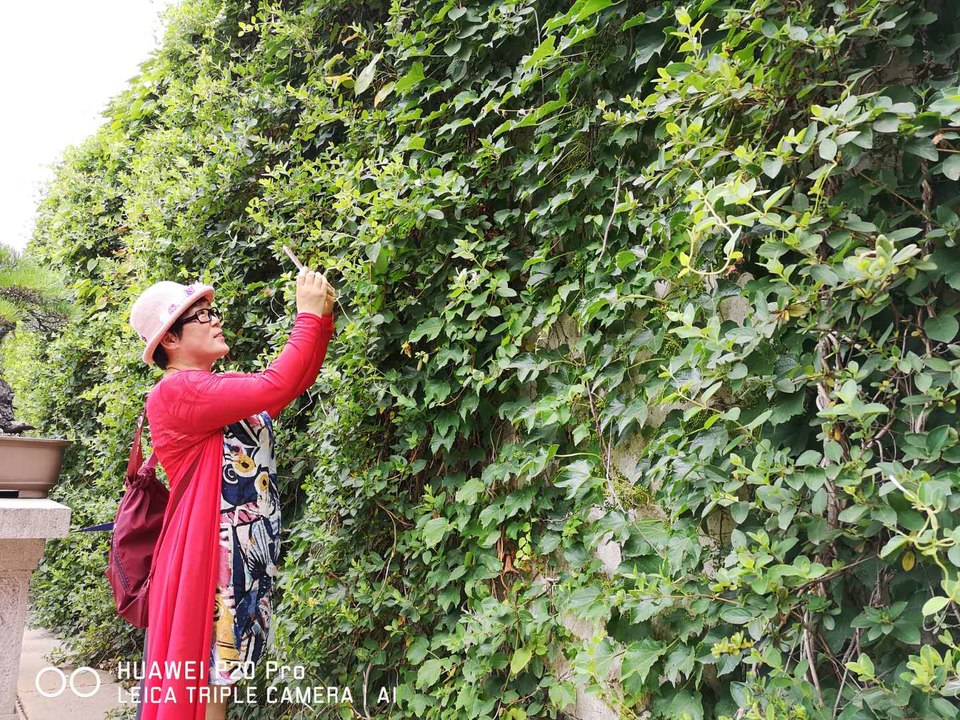 ZpHPr1-3MDxnNyc6FlJ3UrjzgdoCoRjWSRRgwL7pNTU0VmlfLXGyWB9dRBxHSKaV