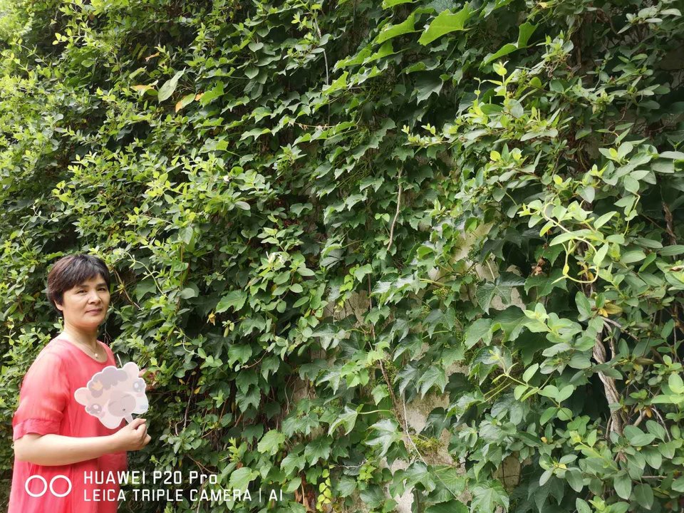 4a9YANHcZeBqrEGupOx3z0wAUykdcvgujiMmJojwVNt1QVZqTb999QMsyAeWA4_s