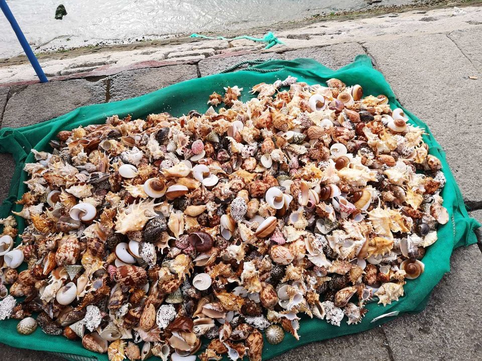 vd8knxgYMEUzi0geabMZXnzOltOPmkvOjASqP81ok1W71vvG0mboRQe0ndPYYBEr