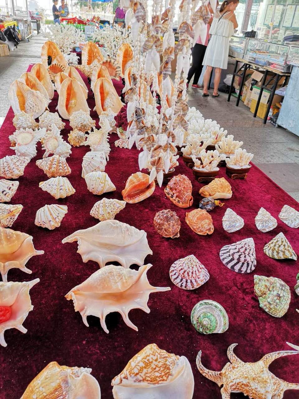 0gMVYXQ9UhejxiUhFX0_R0MG5IR9uOOasb2xF9HdO5r6mj0tc9UYCgfeyHBWkDBV