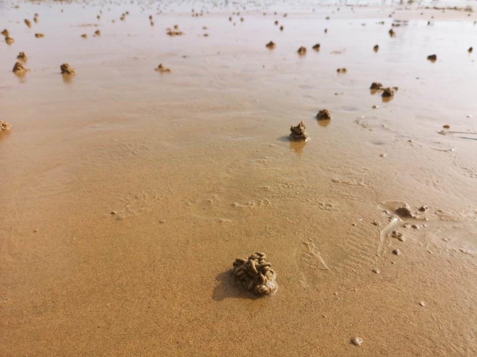 cP5LUbCVwAdbcQfcHTG1s8tyamDh1TWA9KV7mC8knFY3VUyIfcJqeL6V3KDFdtBe